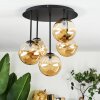 Chehalis Plafoniera, Lampada a sfera Ambrato, 5-Luci