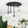 Chehalis Plafoniera, Lampada a sfera Chiaro, 5-Luci