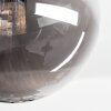 Chehalis Plafoniera, Lampada a sfera Grigio fumo, 5-Luci