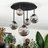 Chehalis Plafoniera, Lampada a sfera Grigio fumo, 5-Luci