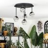 Chehalis Plafoniera, Lampada a sfera Chiaro, Grigio fumo, 5-Luci