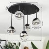 Chehalis Plafoniera, Lampada a sfera Chiaro, Grigio fumo, 5-Luci