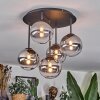 Chehalis Plafoniera, Lampada a sfera Chiaro, Grigio fumo, 5-Luci