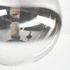 Chehalis Plafoniera, Lampada a sfera Chiaro, Grigio fumo, 5-Luci