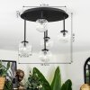 Chehalis Plafoniera, Lampada a sfera Chiaro, 5-Luci