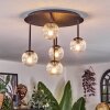 Chehalis Plafoniera, Lampada a sfera Chiaro, 5-Luci