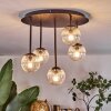 Chehalis Plafoniera, Lampada a sfera Chiaro, 5-Luci
