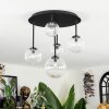 Chehalis Plafoniera, Lampada a sfera Chiaro, 5-Luci