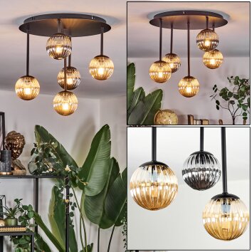 Chehalis Plafoniera, Lampada a sfera Ambrato, Grigio fumo, 5-Luci Chehalis Plafoniera, Lampada a sfera Ambrato, Grigio fumo, 5-Luci
