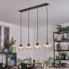 Koyoto Lampadario a sospensione, Lampada a sfera, Lampada a sospensione Chiaro, 4-Luci