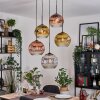 Koyoto Lampadario a sospensione, Lampada a sfera, Lampada a sospensione a cluster Cromo, Oro, Chiaro, Ramato, Grigio fumo, 5-Luci
