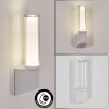 Isara Lampada da parete per esterno, Applique LED Bianco, 1-Luce