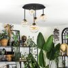 Chehalis Plafoniera, Lampada a sfera 42.5 cm Ambrato, Chiaro, 5-Luci