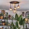 Chehalis Plafoniera, Lampada a sfera 42.5 cm Ambrato, Chiaro, 5-Luci