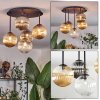 Chehalis Plafoniera, Lampada a sfera Ambrato, Chiaro, Grigio fumo, 5-Luci