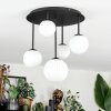 Chehalis Plafoniera, Lampada a sfera Bianco, 5-Luci