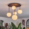Chehalis Plafoniera, Lampada a sfera Bianco, 5-Luci