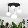 Chehalis Plafoniera, Lampada a sfera Bianco, 5-Luci