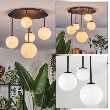 Chehalis Plafoniera, Lampada a sfera Bianco, 5-Luci Chehalis Plafoniera, Lampada a sfera Bianco, 5-Luci