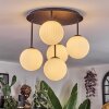 Chehalis Plafoniera, Lampada a sfera Bianco, 5-Luci