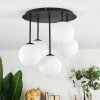 Chehalis Plafoniera, Lampada a sfera Bianco, 5-Luci
