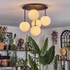 Chehalis Plafoniera, Lampada a sfera Bianco, 5-Luci