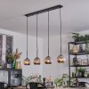 Ripoll Lampadario a sospensione, Lampada a sfera, Lampada a sospensione Cromo, Grigio fumo, 4-Luci