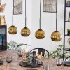 Ripoll Lampadario a sospensione, Lampada a sfera, Lampada a sospensione Oro, 4-Luci