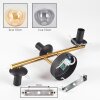 Gastor Lampada a sfera, Applique Oro, Nero, 3-Luci