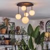 Chehalis Plafoniera, Lampada a sfera 42.5 cm Bianco, 5-Luci