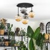 Chehalis Plafoniera, Lampada a sfera 45 cm Ambrato, Grigio fumo, 5-Luci