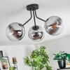 Gastor Plafoniera, Lampada a sfera Cromo, Chiaro, Grigio fumo, 3-Luci