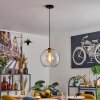 Koyoto Lampadario a sospensione, Lampada a sfera, Lampada a sospensione Oro, Nero, 1-Luce