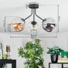 Ripoll Plafoniera, Lampada a sfera Ambrato, Chiaro, Grigio fumo, 3-Luci