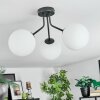 Gastor Plafoniera, Lampada a sfera Bianco, 3-Luci