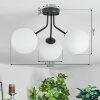 Gastor Plafoniera, Lampada a sfera Bianco, 3-Luci
