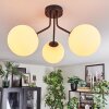 Gastor Plafoniera, Lampada a sfera Bianco, 3-Luci