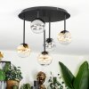 Chehalis Plafoniera, Lampada a sfera Ambrato, Chiaro, Grigio fumo, 5-Luci