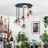 Gastor Plafoniera, Lampada a sfera Ambrato, Chiaro, Grigio fumo, 9-Luci