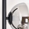 Koyoto Lampada da terra 31 cm Cromo, Chiaro, Grigio fumo, 5-Luci