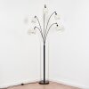 Bassagoda Lampada da terra Nero, 5-Luci