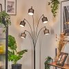 Bassagoda Lampada da terra Cromo, Nero, 5-Luci