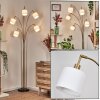 Bassagoda Lampada da terra Ottone, Nero, 5-Luci