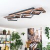 Ellekilde Plafoniera LED Marrone, Aspetto del legno, Nero, 2-Luci