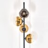 Ripoll Lampada da terra Oro, Chiaro, 4-Luci