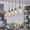 Apedo Lampadario a sospensione, Lampada a sospensione Chiaro, 4-Luci