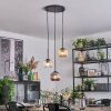 Ripoll Lampadario a sospensione, Lampada a sfera, Lampada a sospensione Ambrato, Chiaro, Grigio fumo, 3-Luci