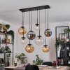 Gastor Lampadario a sospensione, Lampada a sfera, Lampada a sospensione Ambrato, Chiaro, Grigio fumo, 8-Luci Gastor Lampadario a sospensione, Lampada a sfera, Lampada a sospensione Ambrato, Chiaro, Grigio fumo, 8-Luci
