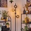 Gastor Lampada da terra 34 cm Ambrato, Chiaro, Grigio fumo, 4-Luci
