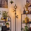 Gastor Lampada da terra 34 cm Ambrato, Chiaro, Grigio fumo, 4-Luci